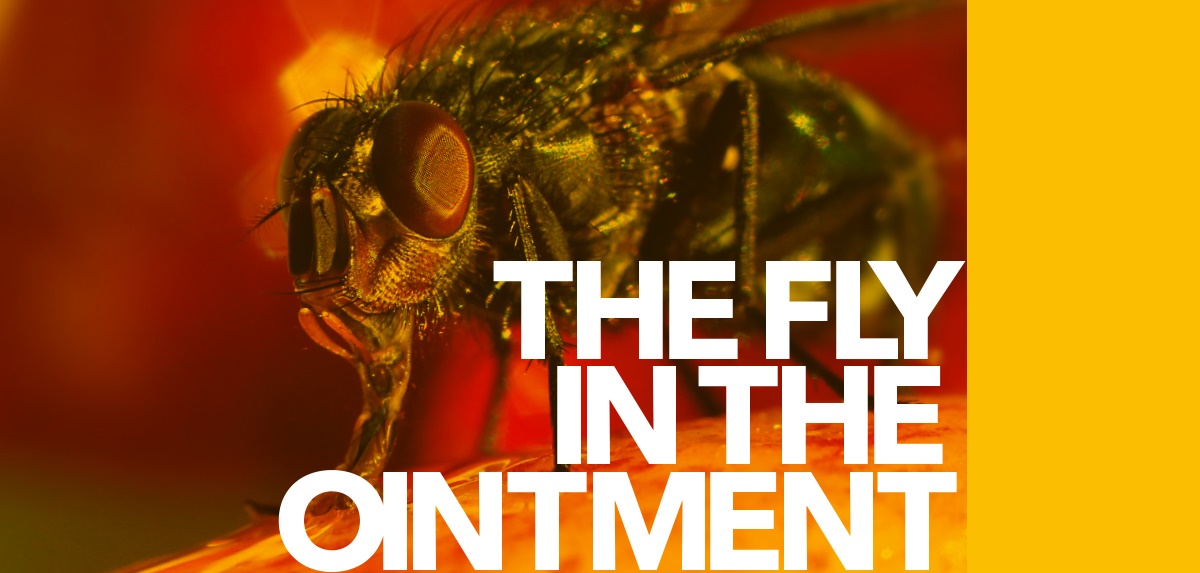 The fly in the ointment